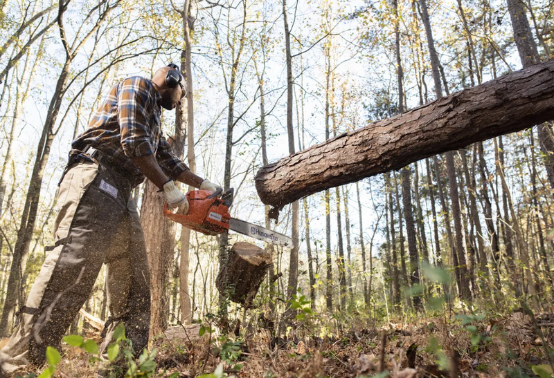 Husqvarna chainsaw deals 460 rancher price