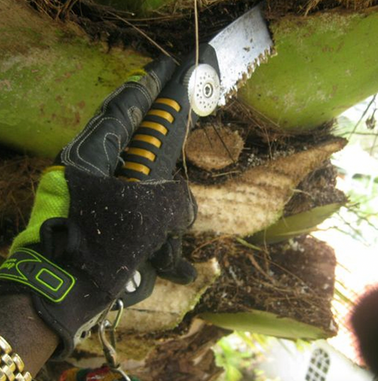 Silky Sugoi 420 Arborist Hand Saw
